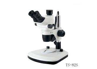 Stereo Microscope