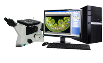 What is the difference between dark field and bright field application of metallographic microscope?