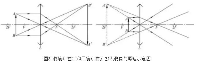 Objective parameter interpretation of optical microscope