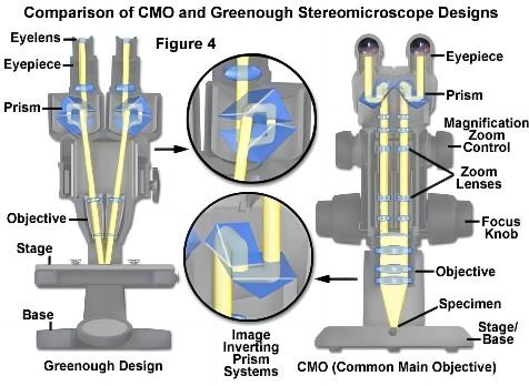 Optical microscope - Type microscope