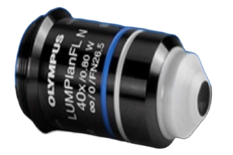 Olympus immersion lens umplfln olympus10x / 0.3 water immersion OJB