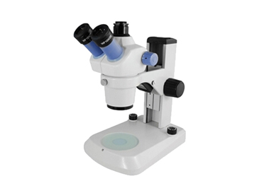 How to Use the Stereo Microscope?